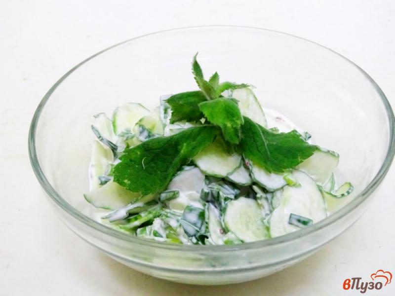 Фото приготовление рецепта: Диетический салат из огурцов и йогурта шаг №8