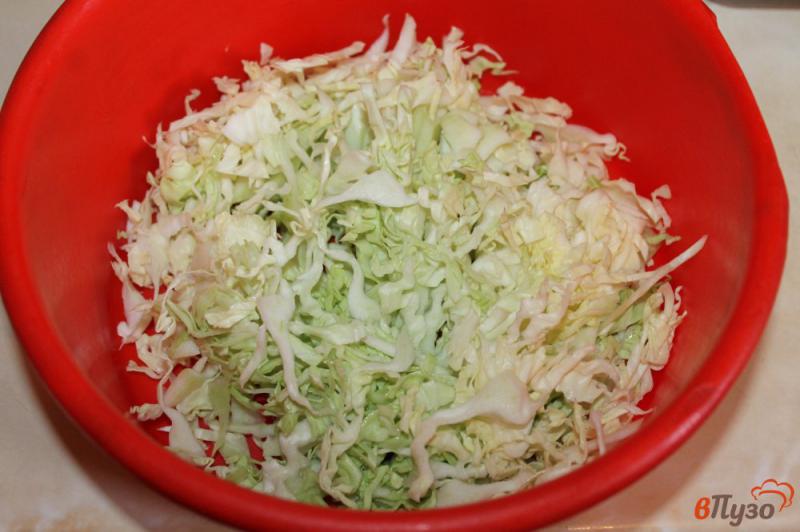 Фото приготовление рецепта: Салат из молодой капусты с огурцом и помидором шаг №1