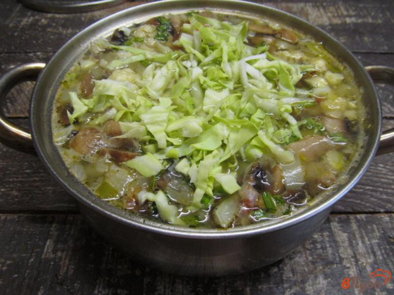 Фото приготовление рецепта: Капустный суп с грибами и томатом шаг №10