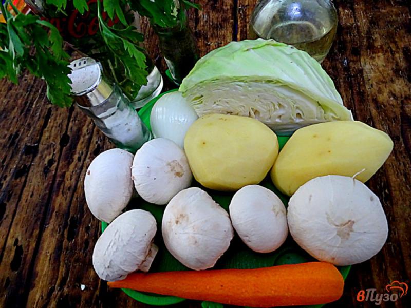 Фото приготовление рецепта: Вегетарианский суп с грибами шаг №1
