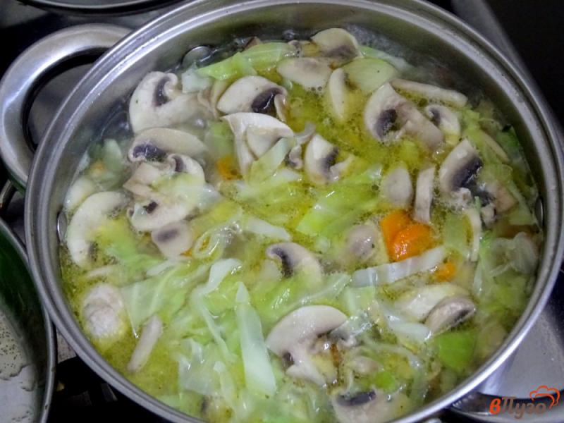 Фото приготовление рецепта: Вегетарианский суп с грибами шаг №9