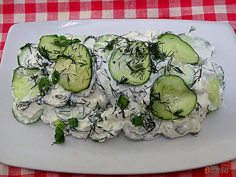 Фото приготовление рецепта: Салат из огурцов и творога шаг №6