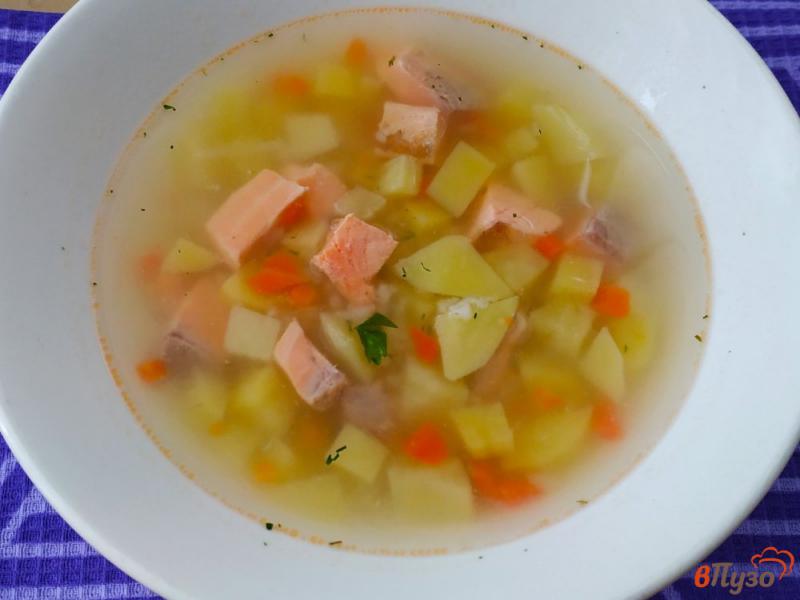 Фото приготовление рецепта: Рыбный суп с форелью шаг №7