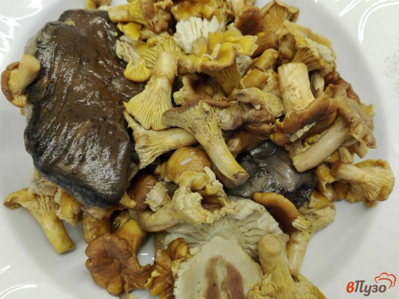Фото приготовление рецепта: Паста с лесными грибами и сыром шаг №1