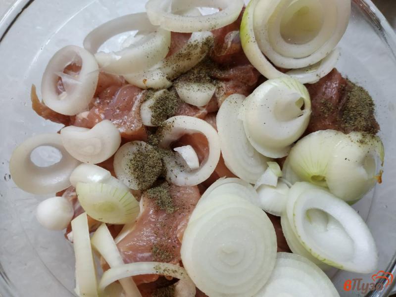 Фото приготовление рецепта: Шашлык из свинины на минералке шаг №3