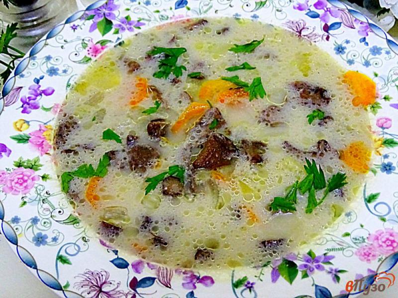 Фото приготовление рецепта: Суп с маслятами и плавленым сыром шаг №7