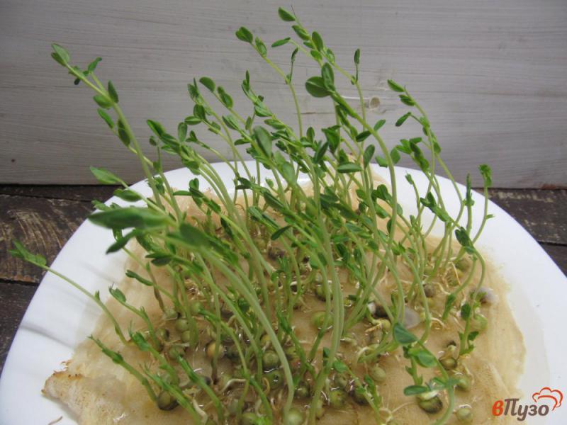 Фото приготовление рецепта: Летний салат с малиной шаг №2