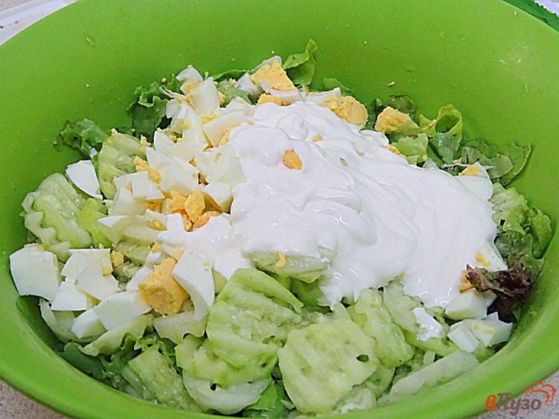 Фото приготовление рецепта: Зелёный микс салат с яйцом и огурцом шаг №5