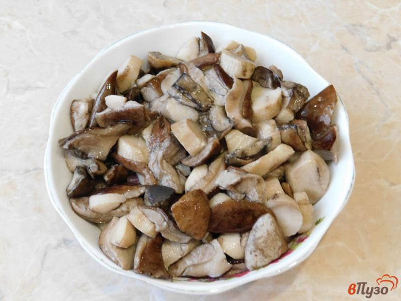 Фото приготовление рецепта: Грибной суп из лесных грибов шаг №1
