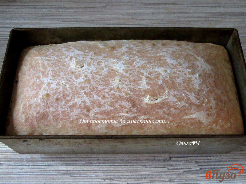 Фото приготовление рецепта: Пшеничный хлеб с овсяными отрубями шаг №9