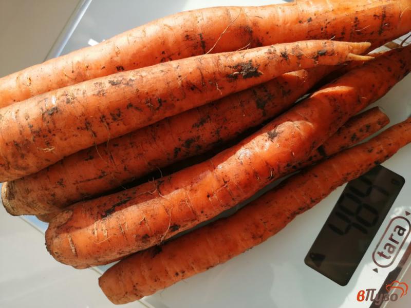 Фото приготовление рецепта: Постный морковный пирог с изюмом, орехами и кокосом шаг №1