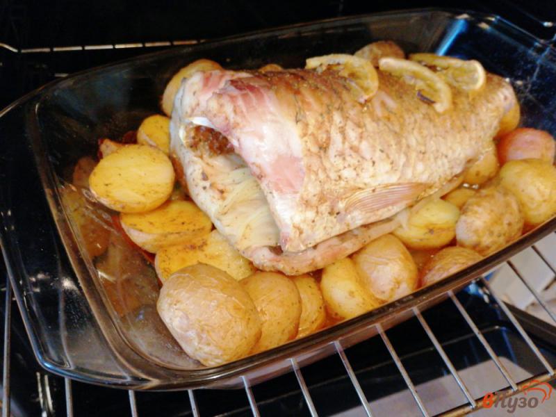 Фото приготовление рецепта: Белый амур запечённый с картофелем шаг №3