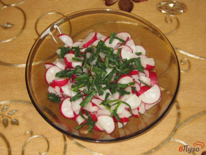 Фото приготовление рецепта: Салат из редиса с зеленым луком в майонезе шаг №2