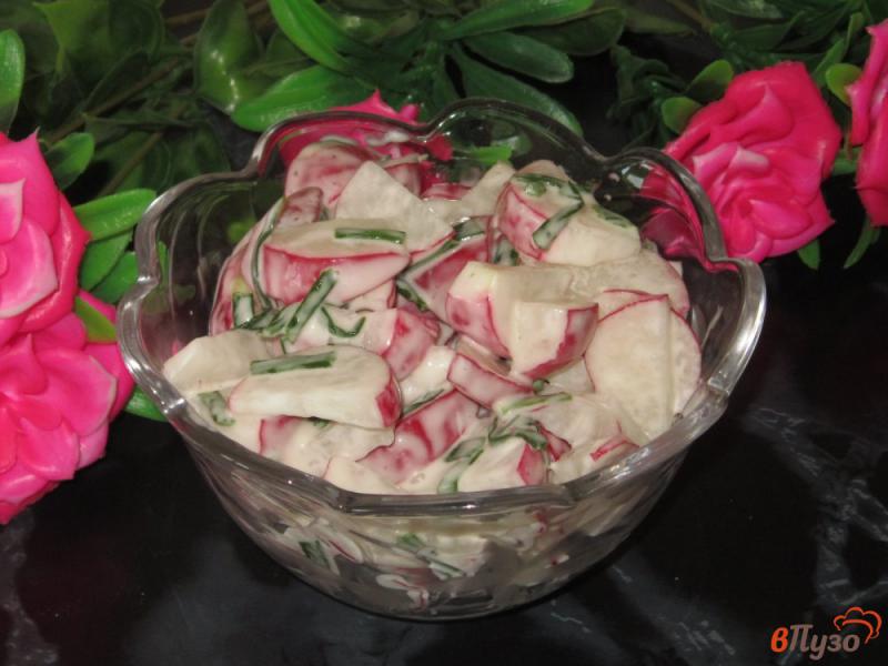 Фото приготовление рецепта: Салат из редиса с зеленым луком в майонезе шаг №4