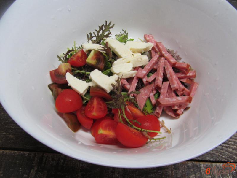 Фото приготовление рецепта: Итальянский салат с салями и моцареллой шаг №2