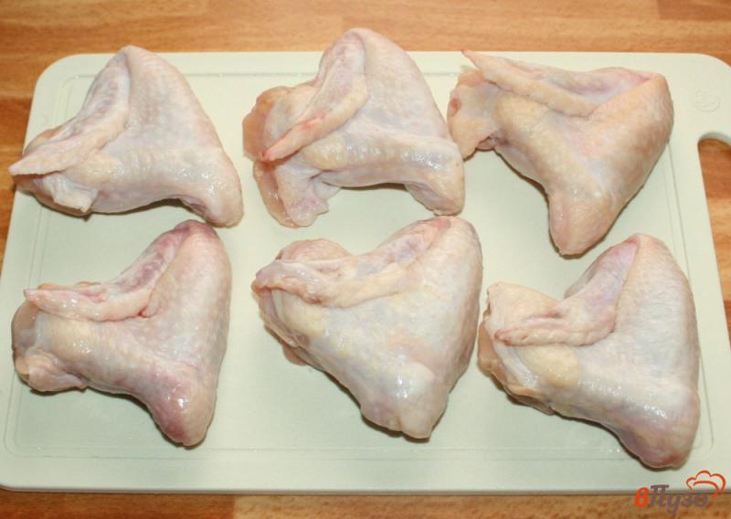 Фото приготовление рецепта: Куриные крылышки на мангале шаг №3