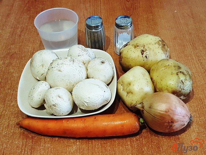 Фото приготовление рецепта: Суп грибной в мультиварке шаг №1