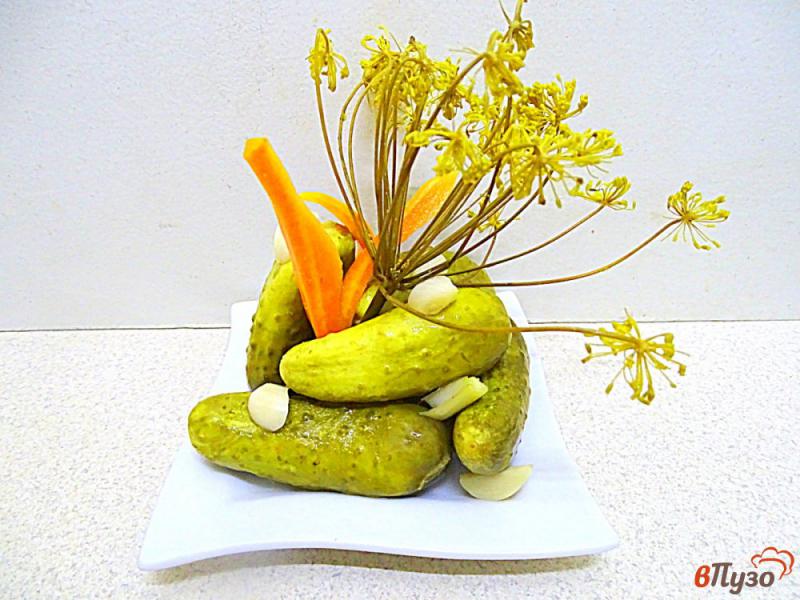 Фото приготовление рецепта: Огурцы малосольные с морковью шаг №10