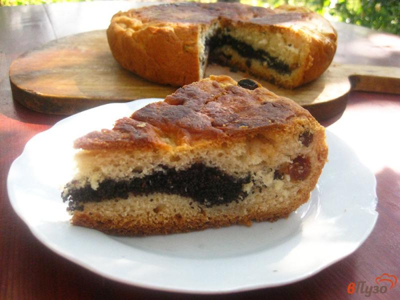 Фото приготовление рецепта: Пирог с маком в мультиварке шаг №19