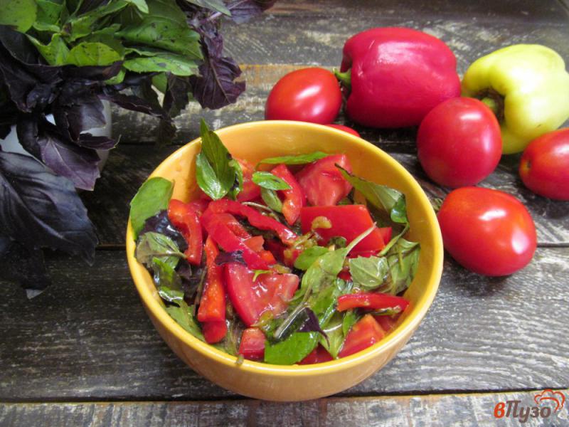 Фото приготовление рецепта: Помидорный салат с заправкой из кетчупа шаг №6