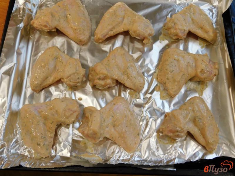 Фото приготовление рецепта: Куриные крылышки из духовки шаг №4