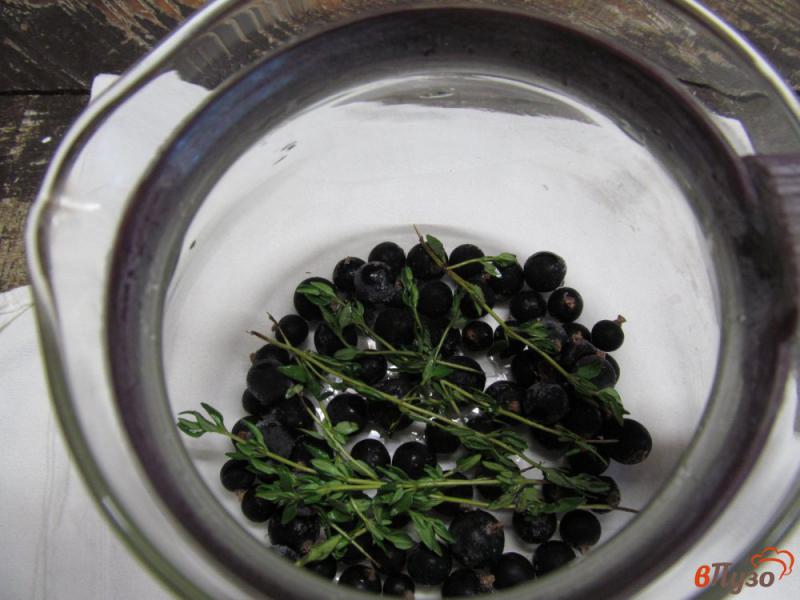 Фото приготовление рецепта: Чай из черной смородины с тимьяном шаг №2