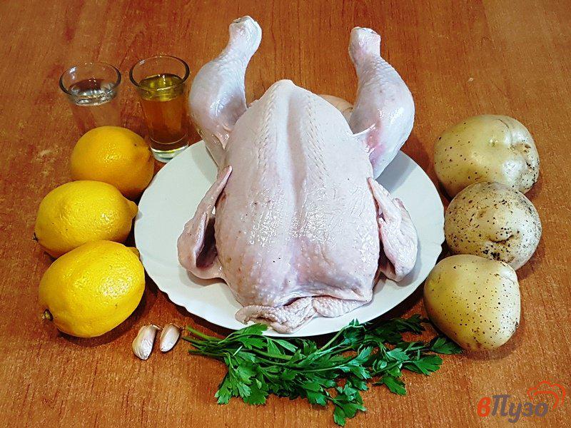 Фото приготовление рецепта: Курица с лимонами шаг №1
