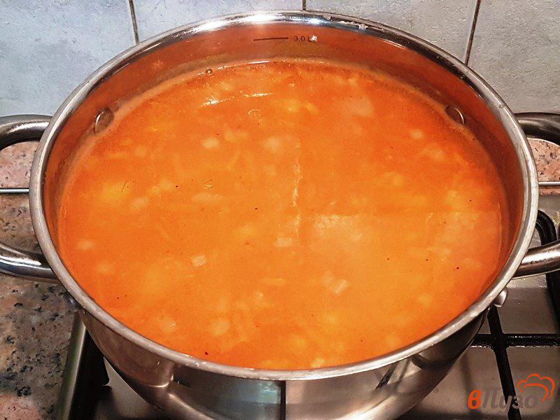 Фото приготовление рецепта: Суп с пшеном и кукурузой шаг №10