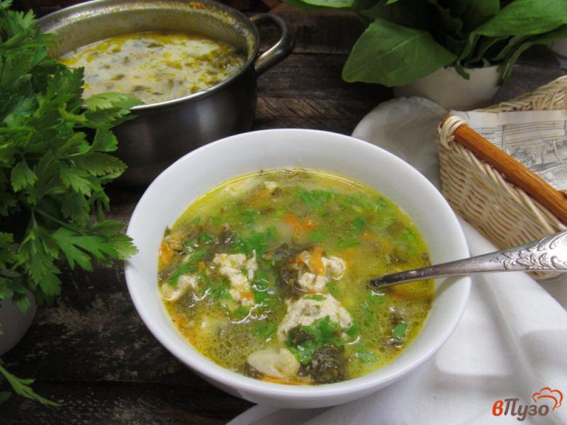 Фото приготовление рецепта: Суп с цветной капустой щавелем и фрикадельками шаг №10