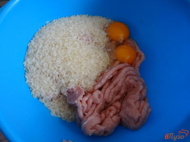 Фото приготовление рецепта: Ежики с рисом и овощами шаг №1