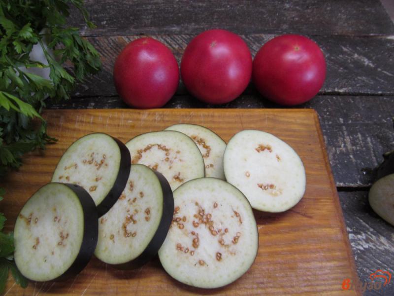 Фото приготовление рецепта: Теплый салат с баклажаном шаг №1