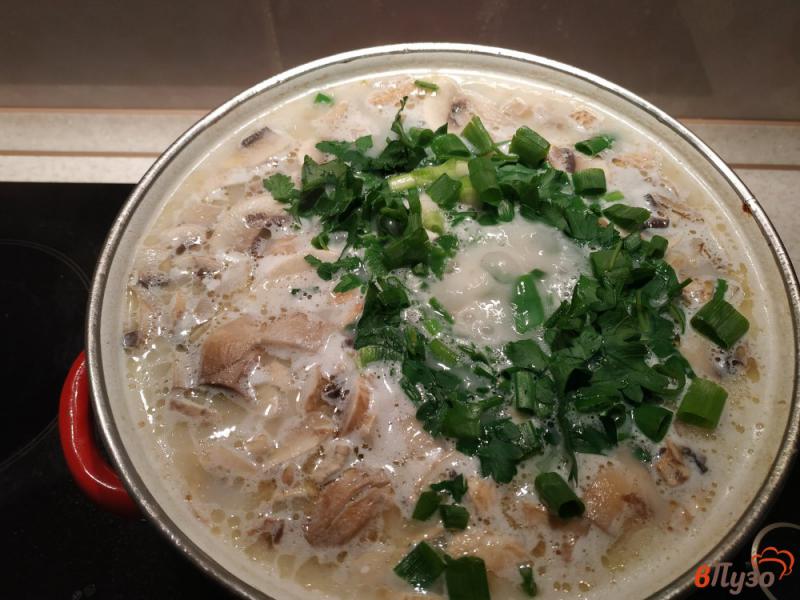 Фото приготовление рецепта: Суп с грибами и плавленым сыром шаг №9
