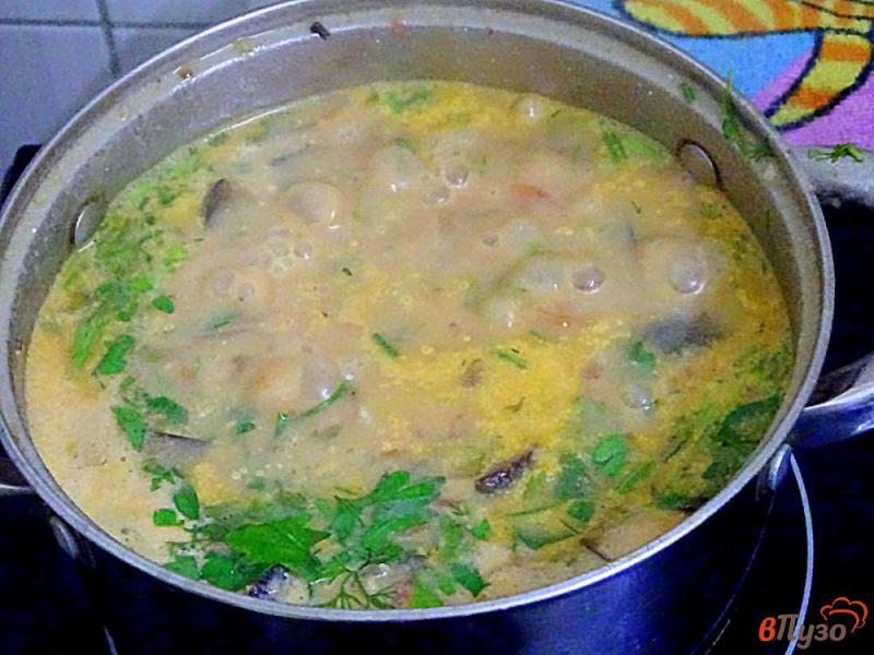 Фото приготовление рецепта: Суп с баклажанами по-восточному шаг №12