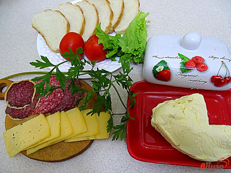 Фото приготовление рецепта: Бутерброды с колбаслой и сыром шаг №1