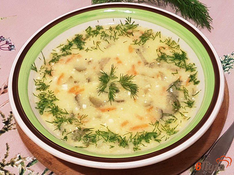 Фото приготовление рецепта: Суп с огурцами и плавленым сыром шаг №12