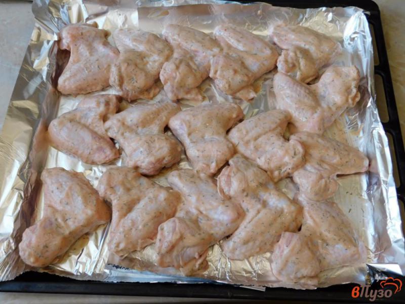 Фото приготовление рецепта: Куриные крылышки из духовки шаг №4