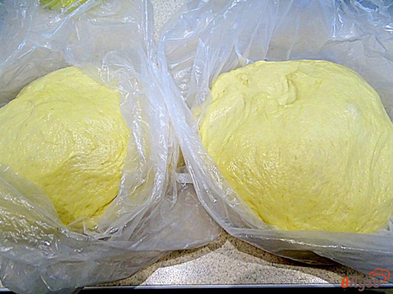 Фото приготовление рецепта: Тесто дрожжевое на кефире как пух шаг №9