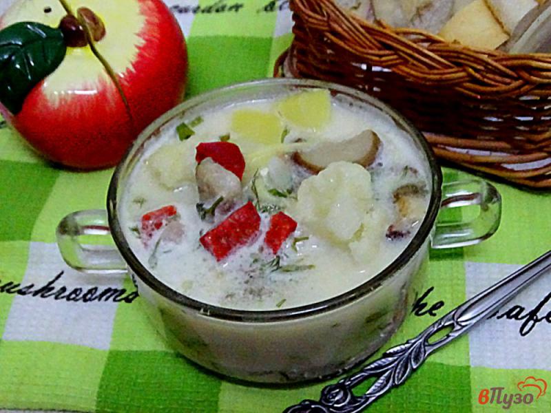 Фото приготовление рецепта: Суп с белыми грибами и цветной капустой шаг №7