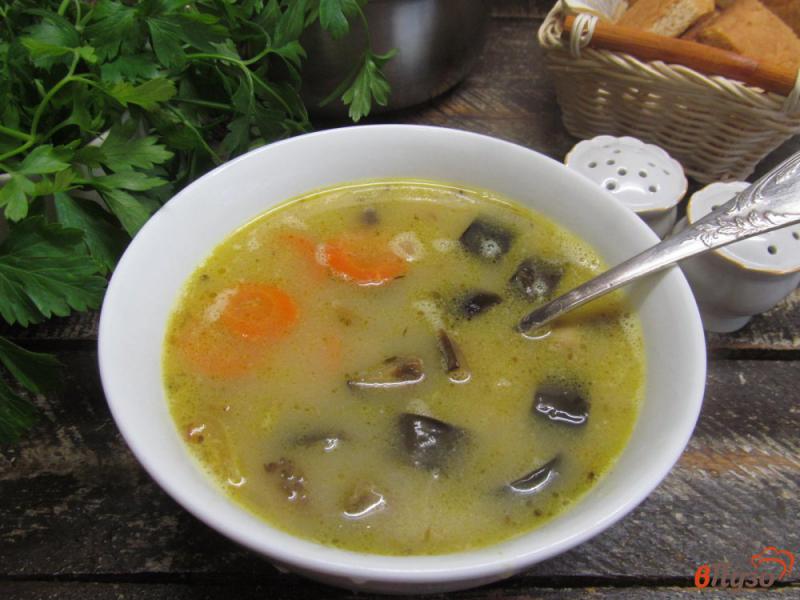 Фото приготовление рецепта: Грибной суп с баклажаном и вермишелью шаг №9