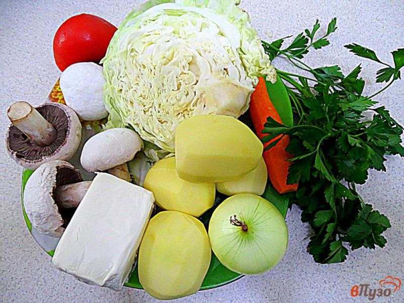 Фото приготовление рецепта: Суп с плавленым сыром, грибами и овощами шаг №1