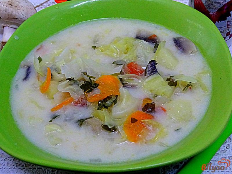 Фото приготовление рецепта: Суп с плавленым сыром, грибами и овощами шаг №8