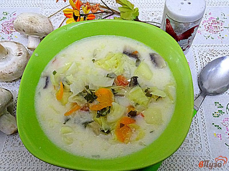 Фото приготовление рецепта: Суп с плавленым сыром, грибами и овощами шаг №9