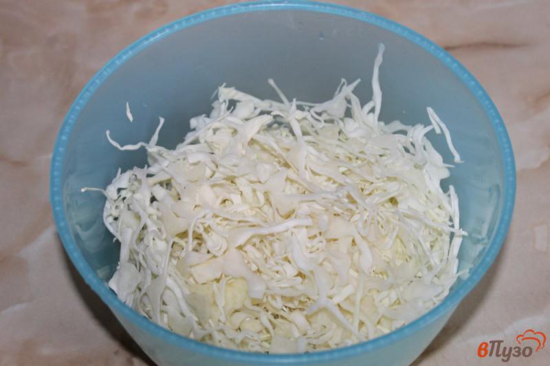 Фото приготовление рецепта: Салат из капусты с болгарским перцем и огурцом шаг №1