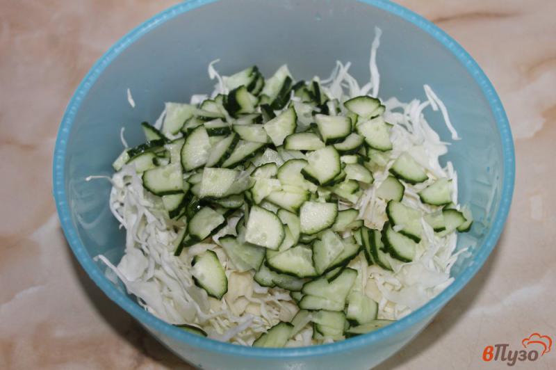 Фото приготовление рецепта: Салат из капусты с болгарским перцем и огурцом шаг №2