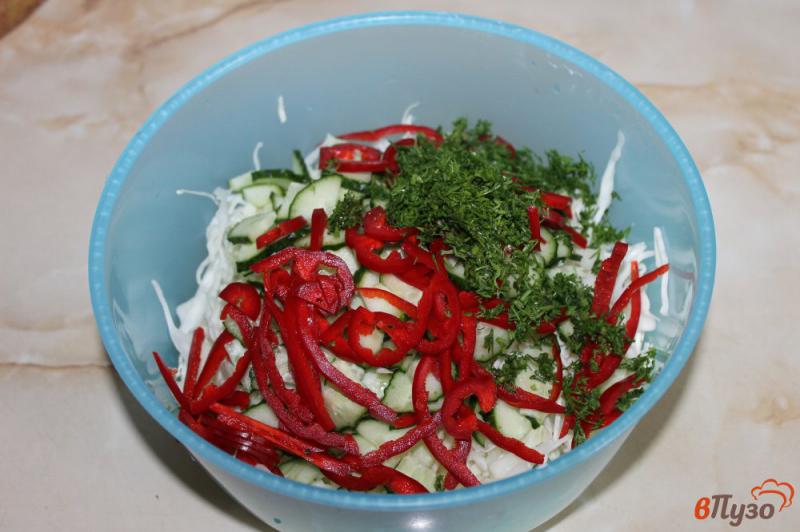 Фото приготовление рецепта: Салат из капусты с болгарским перцем и огурцом шаг №4