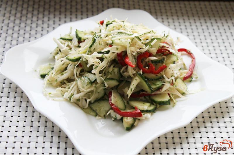 Фото приготовление рецепта: Салат из капусты с болгарским перцем и огурцом шаг №6
