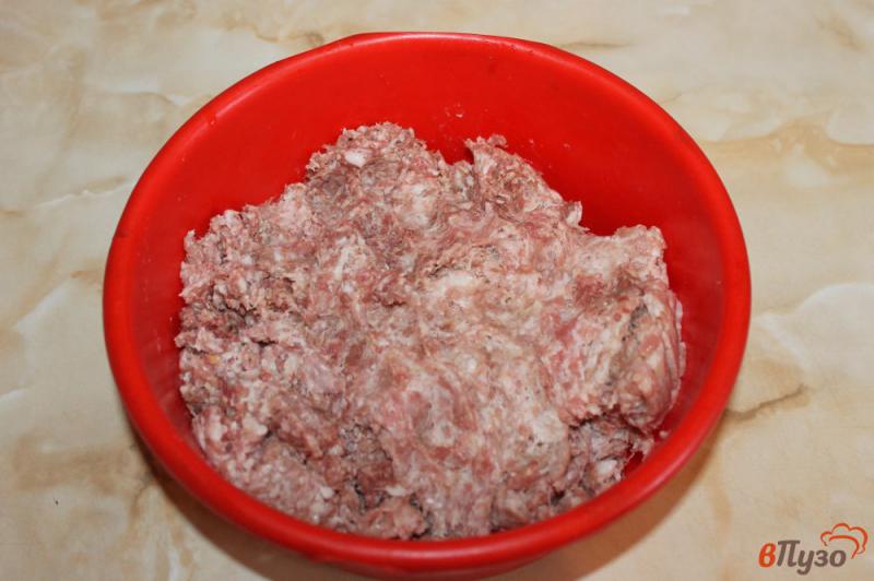 Фото приготовление рецепта: Пельмени со свининой шаг №2