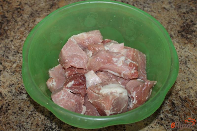 Фото приготовление рецепта: Свиной шашлык маринованный в майонезе шаг №1