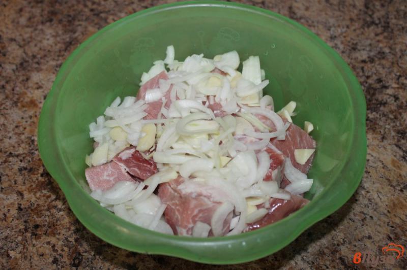 Фото приготовление рецепта: Свиной шашлык маринованный в майонезе шаг №2