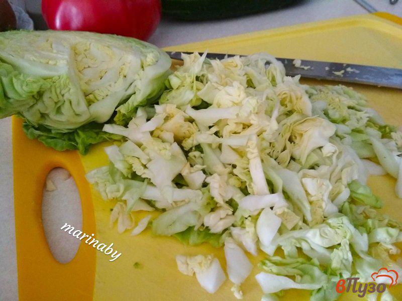 Фото приготовление рецепта: Салат овощной с молодой капустой шаг №2